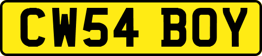 CW54BOY