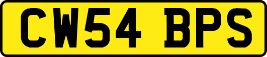 CW54BPS