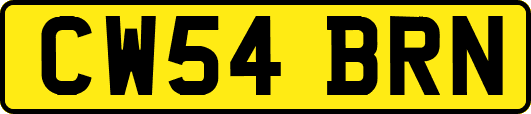 CW54BRN