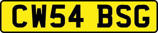 CW54BSG