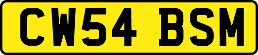 CW54BSM