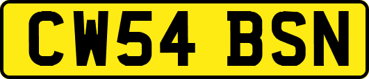 CW54BSN
