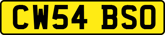 CW54BSO