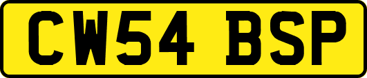 CW54BSP
