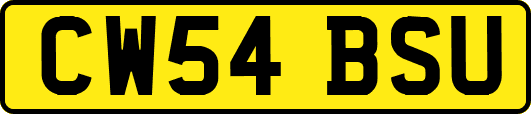 CW54BSU