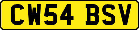 CW54BSV
