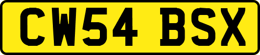 CW54BSX