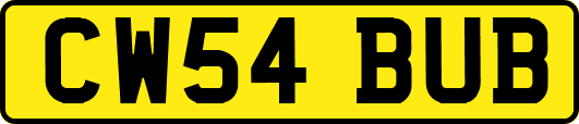 CW54BUB