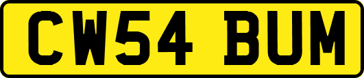 CW54BUM