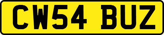 CW54BUZ