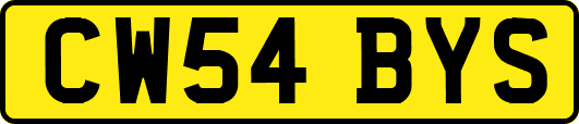 CW54BYS