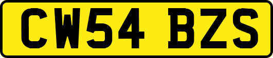CW54BZS