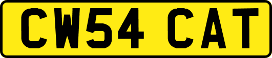 CW54CAT