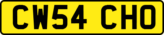 CW54CHO