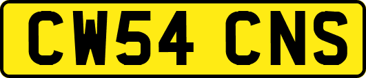 CW54CNS