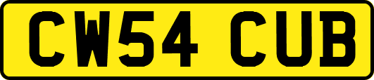 CW54CUB