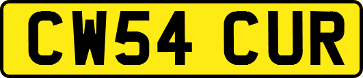 CW54CUR