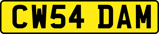 CW54DAM