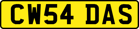 CW54DAS
