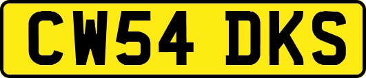 CW54DKS