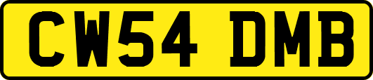 CW54DMB