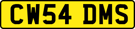 CW54DMS