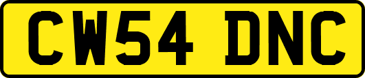 CW54DNC