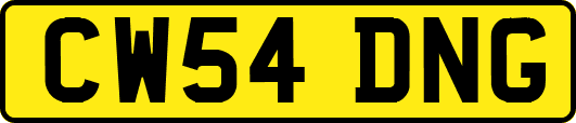 CW54DNG