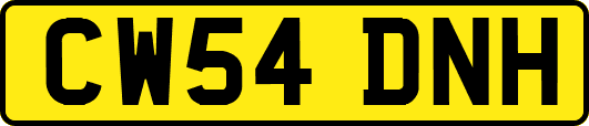 CW54DNH