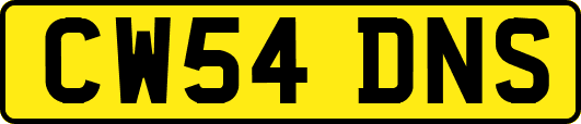 CW54DNS
