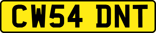 CW54DNT
