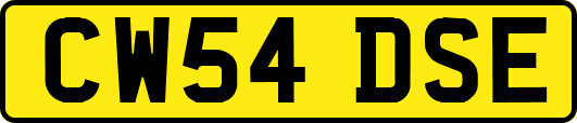 CW54DSE