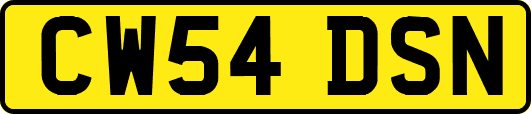 CW54DSN