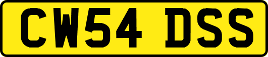 CW54DSS