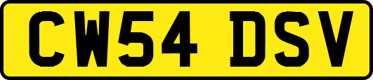 CW54DSV
