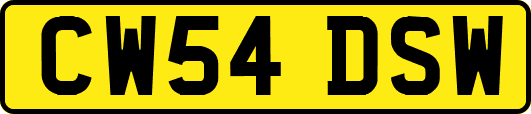 CW54DSW