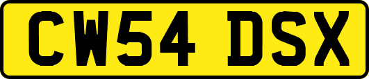 CW54DSX