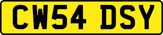 CW54DSY