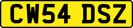 CW54DSZ