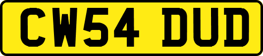 CW54DUD