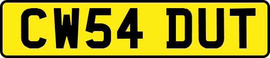 CW54DUT