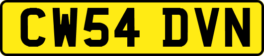 CW54DVN