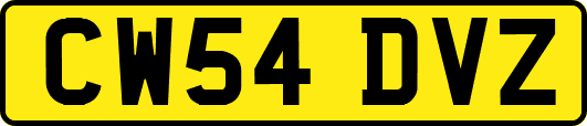 CW54DVZ