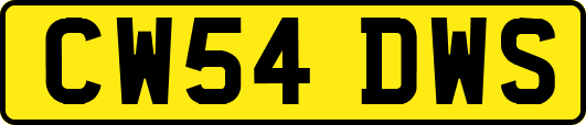CW54DWS