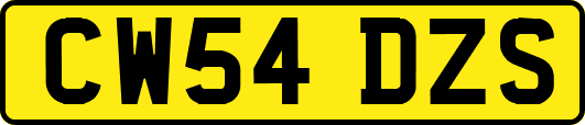CW54DZS