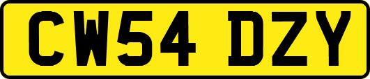 CW54DZY