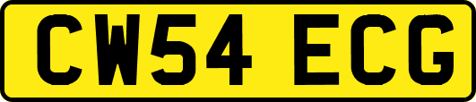 CW54ECG