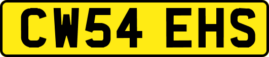 CW54EHS