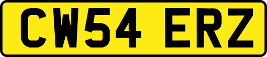 CW54ERZ