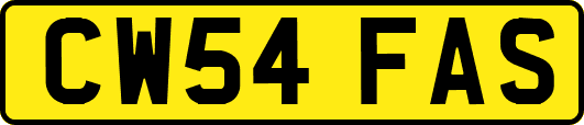 CW54FAS